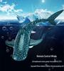 2.4G Remote Control Electric Shark Toy - Wireless Charging Water Toy for Kids