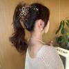 Mesh Sunflower Hair Claws Pearl Tassel Hair Gripper Elegant Shark Hairpins  Women Headdress