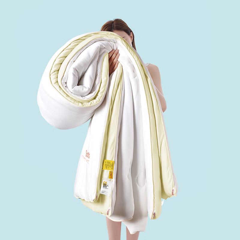 

KINTHERI All-Season Easy-Care Polyester Fiber Quilt