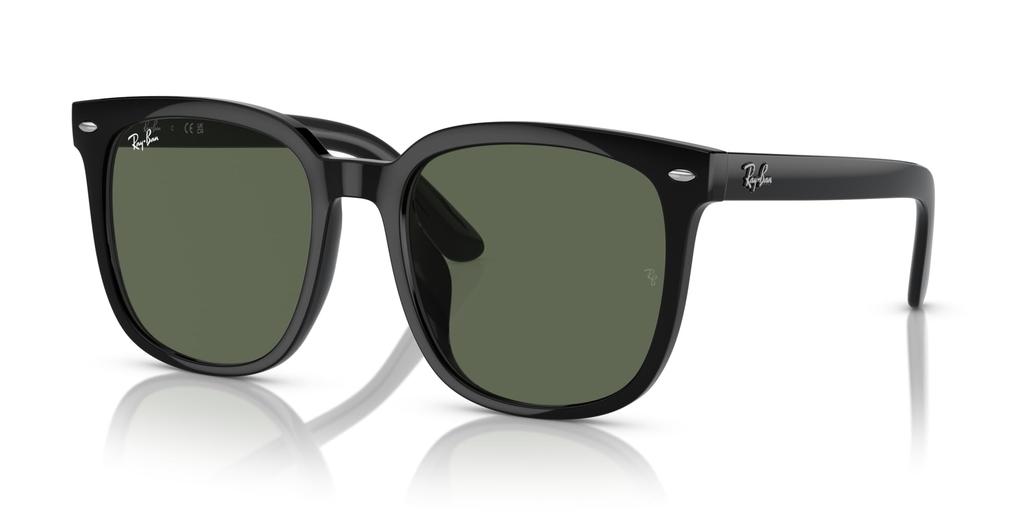 Sunglasses 0RB4401D BLACK 55 Ray-Ban