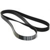 5080810 Dayco Drive Belt for Chevy Ram Truck Freightliner M2 106 Peterbilt 367