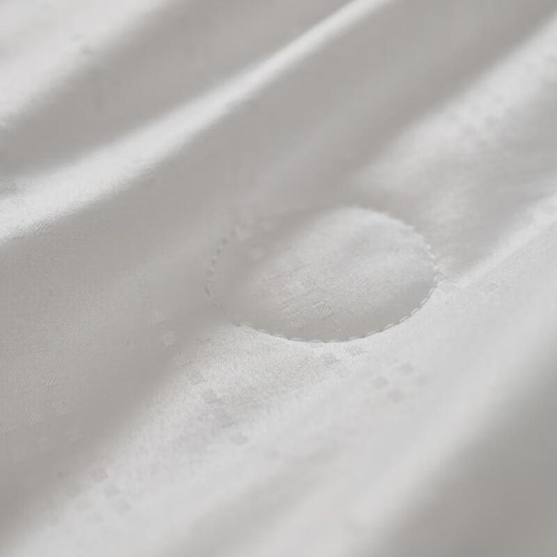 Hengyuanxiang Waschbare Maulbeerseide Bettdecke