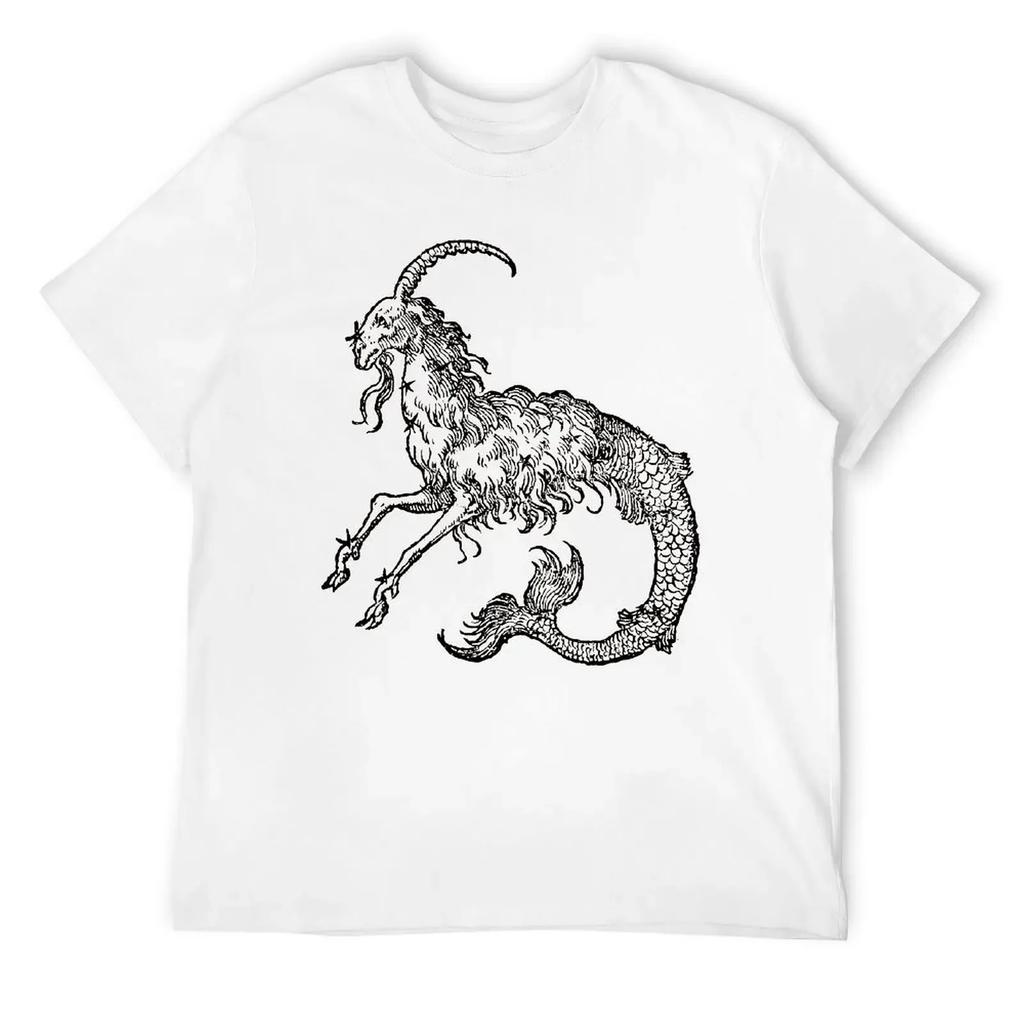 Capricorn Twelve Constellation (4) T-shirt Harajuku Move Tshirt Vintage Home Funny Novelty USA Size