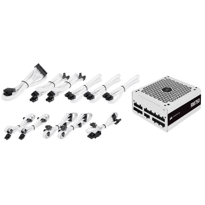 CORSAIR - RM850 - Bloc d'alimentation - 850 Watts - Certifié 80 PLUS Gold - (CP-9020232-EU)