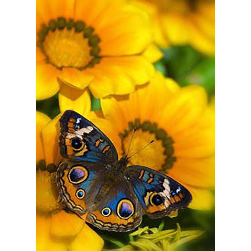 DIY Butterfly 5D Diamond Painting Full Round Drill Cross Ctitch Kits Animal Diamond Embroidery Mosaic Gift Wall Art Home Decor