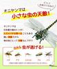 Le Pumo Oniyanma Insect Repellent Set of 4 Realistic Insect Repellent Dragonfly Oniyanma Figure with Safety Pin and Strap Fishing Insect Repellent