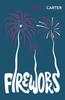 Fireworks by Angela Carter Paperback Book 9781784872984