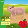 Schleich Świat Farmy Świnia 13933