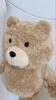 [USED] Ted Ted Bear Plush Sun Arrow Backpack Teddy Bear