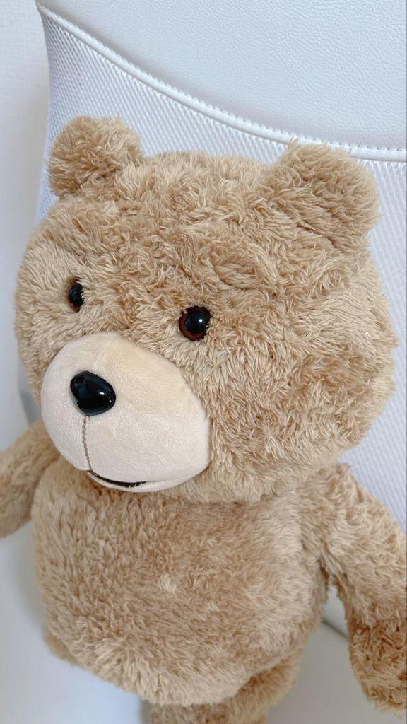 [USED] Ted Ted Bear Plush Sun Arrow Backpack Teddy Bear
