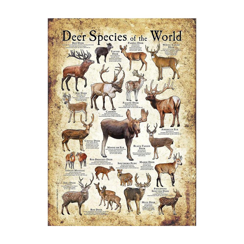 Abstrakt HD-tryck Fjäril Groda Fåglar Haj Marina Djur Collage Poster Canvas Målning Vintage Väggkonst För Barn Sovrum Heminredning