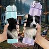 1PC Black White Border Collie Dog 750ml Color Plastic Sports Water Bottle Leakproof Flip Straw Lid Suitable for Sports Office Home Use