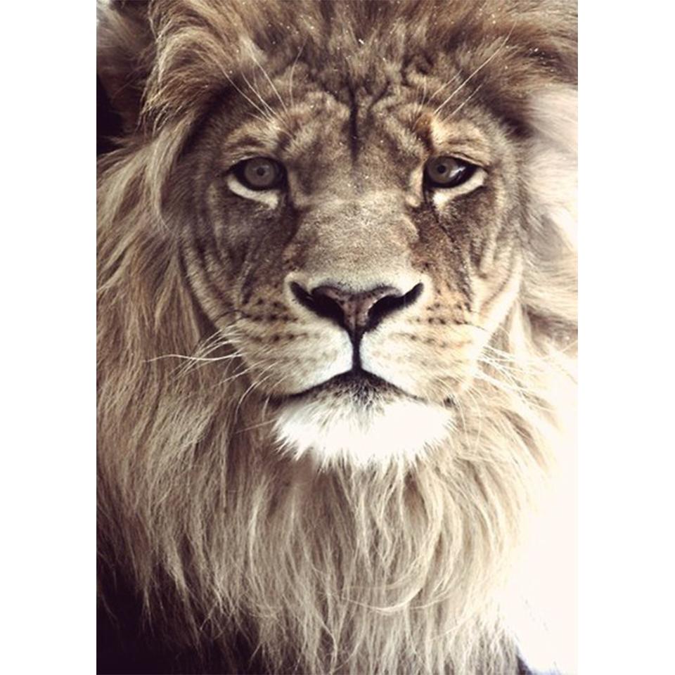 

5D DIY алмазная живопись животное горный хрусталь художественная картина полная алмазная вышивка Лев набор крестиков мозаика домашний декор подарок Full Round 20x30CM