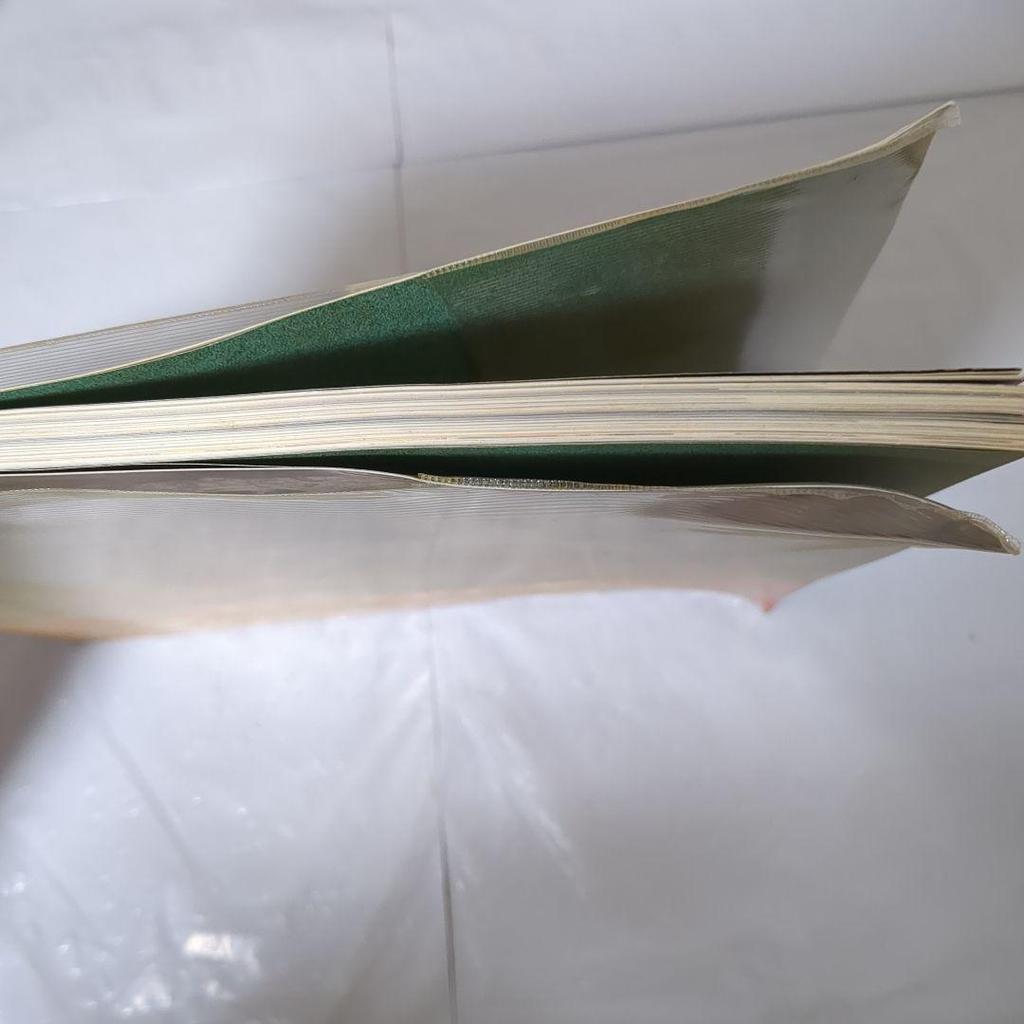 [USED] Guin Saga Art Collection by Yoshitaka Amano, First Edition, Cover, Obi Included