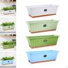 Flower Window Box Vegetable Planter Rectangle 50x19x16cm Windowsill with Drainage Holes for