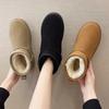 Winter Snow Boots Women's Short Tube Thickened Cotton Shoes Non-slip Winter Shoes Student Women's Shoes Black Boots