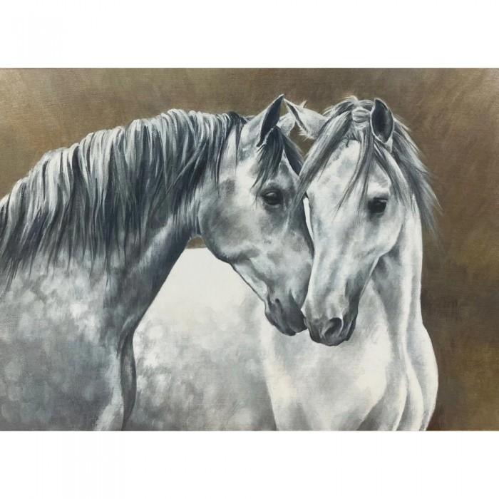 Caroline Cook Shades Of Grey Greetings Card (Pack of 10)