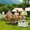 Picnic Bag Foldable Picnic Basket Insulated Comfortable Handle Ice Pockets Cooler Bag for Picnic