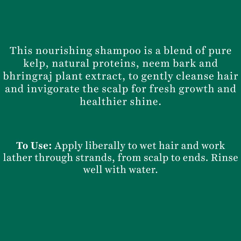 Biotique Ocean Kelp Anti Hairfall Shampoo 340ml | 100% Botanical Extracts | Strengthens & Promotes Hair Growth | Fresh Scent