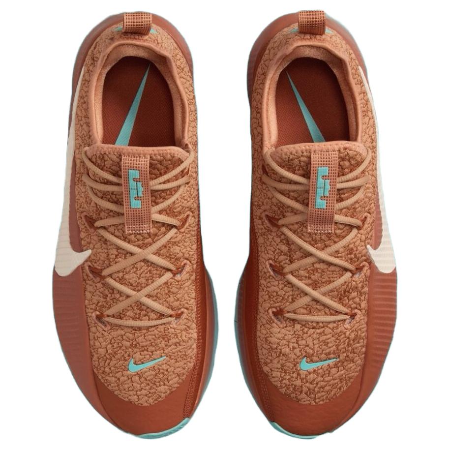 Nike LeBron Tr 1 Better With Age Sneakers FJ6151-200