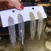 European & American Fashion Long Tassel Rhinestone Earrings with 925 Silver Needle - Trendy Exaggerated Design