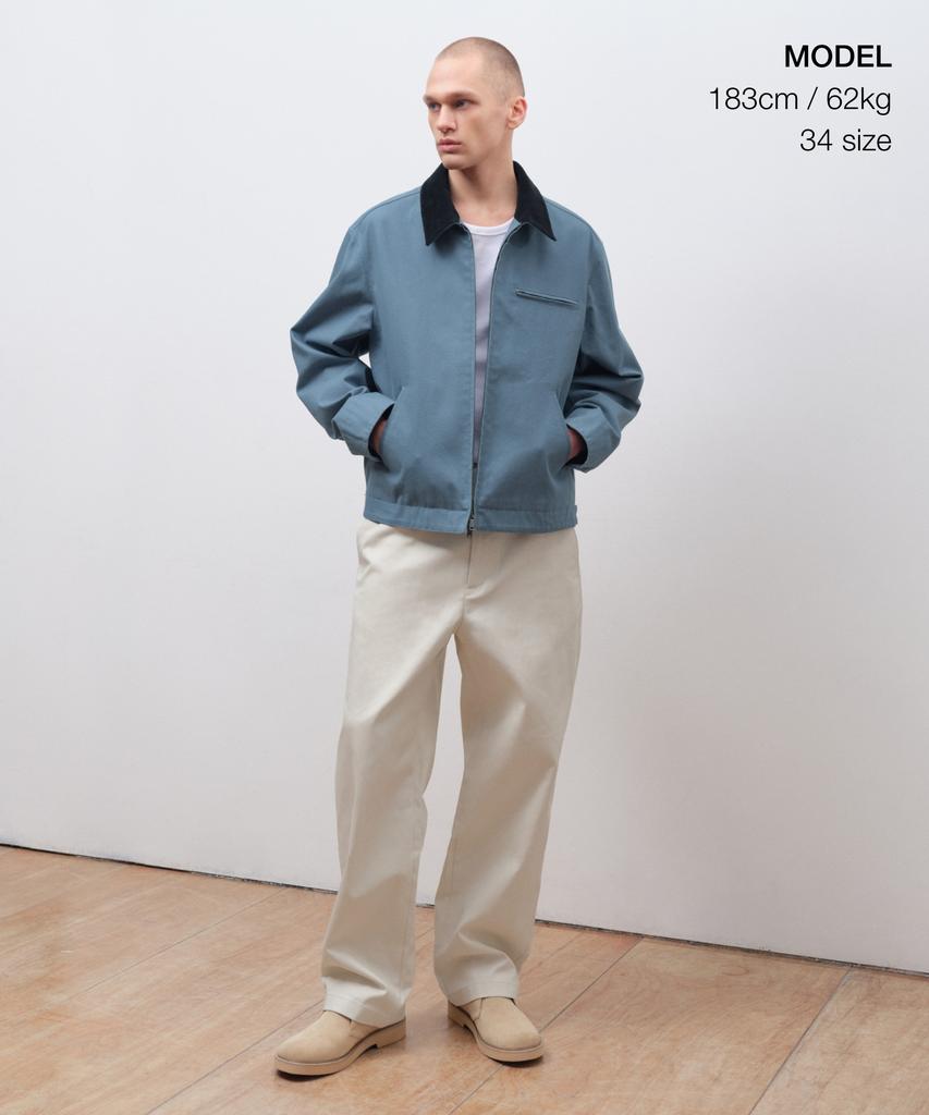 Musinsa Standard Heavyweight Cp Wide Chino Pants [Dusty Cream]