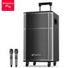 Sansui SG3-12 Outdoor Karaoke Portable Trolley Bluetooth Speaker