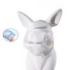 Transparent Cat Mouth Cover Adjustable Safety Protective Cover Pet Anti-Bite Muzzle  Pet Supplies