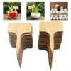 Plant Labels Garden Markers Accessories Gardening Supplies for Herbs Vegetables Potted