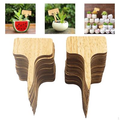 Plant Labels Garden Markers Accessories Gardening Supplies for Herbs Vegetables Potted