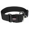 Premium Collar - ML - 40-60 Cm - 50 Mm - Black - Adjustable and Robust