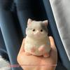 Kawaii Katze Dekompressions-Quetschspielzeug Weiches Silikon Stress-Angst-Linderer Fidget-Spielzeug für Autismus Sensorische Kinder Geschenke