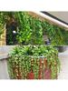 6pc/SET Simulate Ivy strip greenery Vine fake greenery decor, home decor, scene decor, holiday party decor