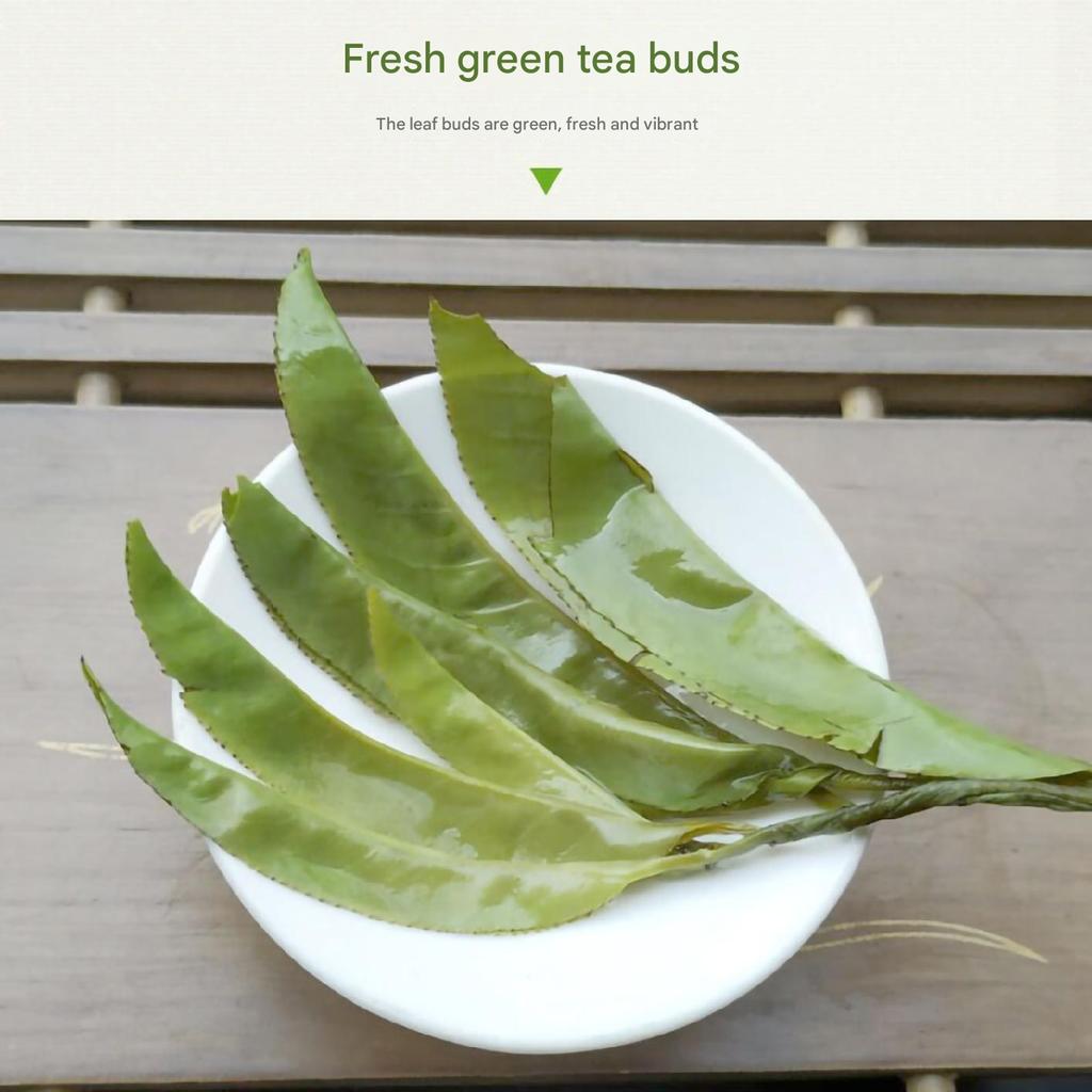 High Quality Organic Kuding Tea - Authentic Wuzhishan Kuding Tea