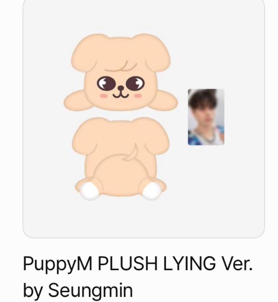 [USED] StrayKids dominATE Uncon Menpro Seungmin Plush Toy