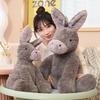 23/40/60CM Roztomilé hračky Burro Peluche Krásné plyšové panenky šedé oslíky Vycpané měkké zvířátko pro miminko Kojenec Dárky k narozeninám do pokoje