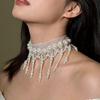 Exquisite French Tassel Pearl Mesh Necklace: Light Luxury Clavicle Chain with Versatile Fashion Design