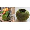 Decorațiuni pentru casă – Ghivece de flori decorative
