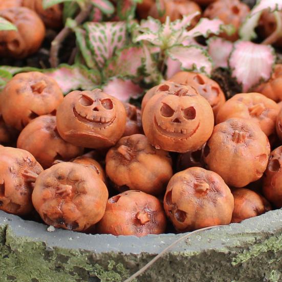 20Pcs Halloween Mini Pumpkin Decorations Resin Miniature Pumpkins Figurines Statues Ghost Themed Crafts Sculptures
