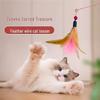 Long Rod Steel Wire Cat Teaser with Feather & Bell - Interactive Bite-Resistant Replacement Cat Toy