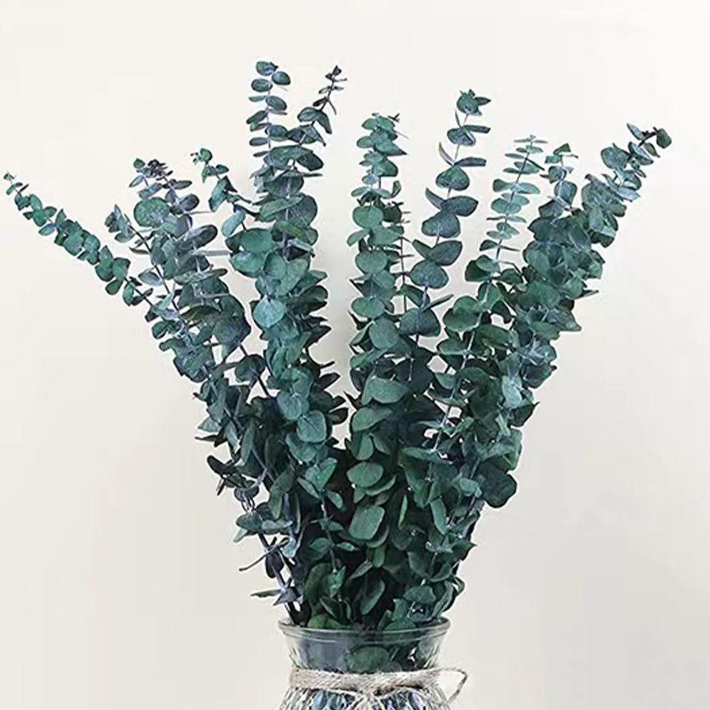 10 Pcs 22 inch Artificial Plants Flowers Real Leaves Preserved Eucalyptus Stems  Bathroom