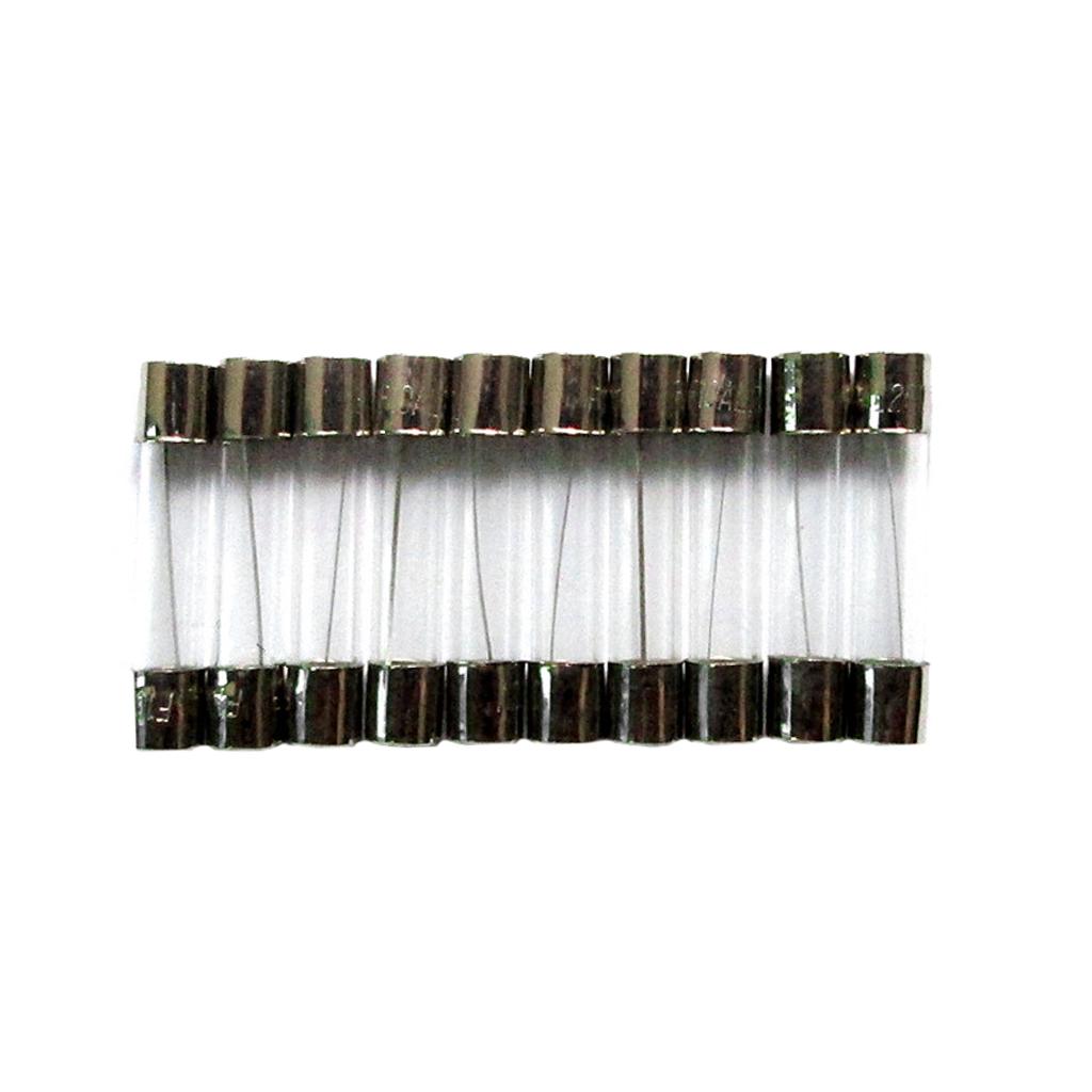 10 Pcs Fast Blow Type Glass Tube Fuses 6x30mm 250V 10A