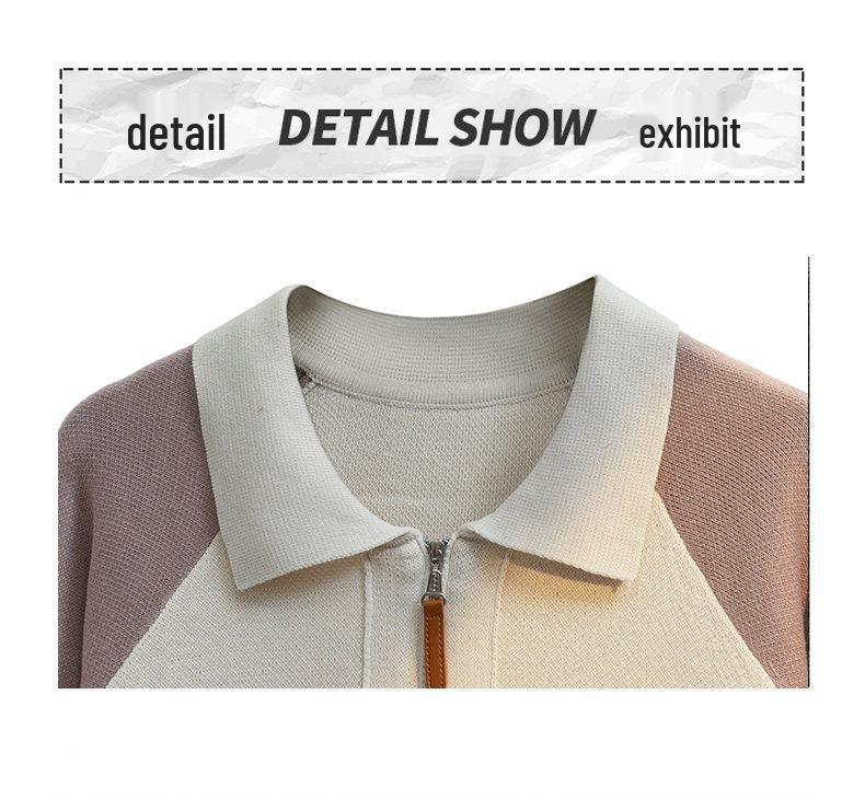 Heren V-hals Trui in Hongkong Stijl: Herfst/Winter Gebreide Polo Top met Kraag voor Tieners