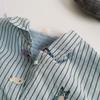 Embroidered Korean Vertical Striped Cotton Long-sleeved Design Versatile Shirt Women Autumn New