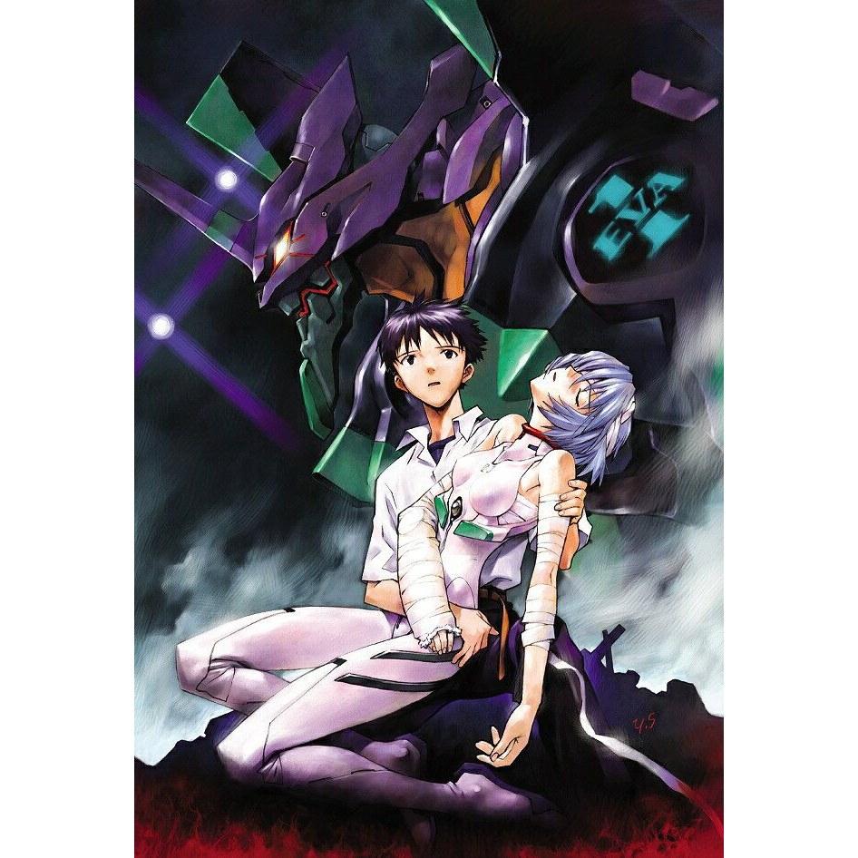 Neon Genesis Evangelion TV-Ausstrahlung Version DVD Box Archive Megumi Ogata