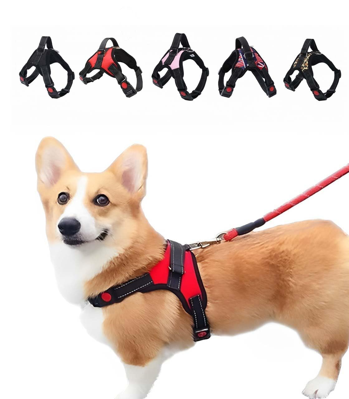 

Cute and Stylish Dog Harness for Soft Nylon Collar with Reflective Backing for and Large Dogs and by PetGround Walks, Small, Medium, Cats, (M, Black) чёрный