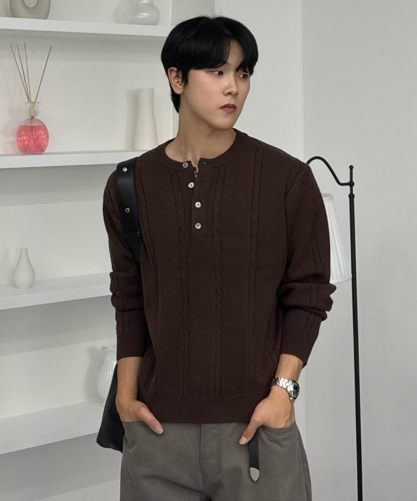 HYOJI Fw Washable Cable Crop Henley Neck Knit (8 Colors)
