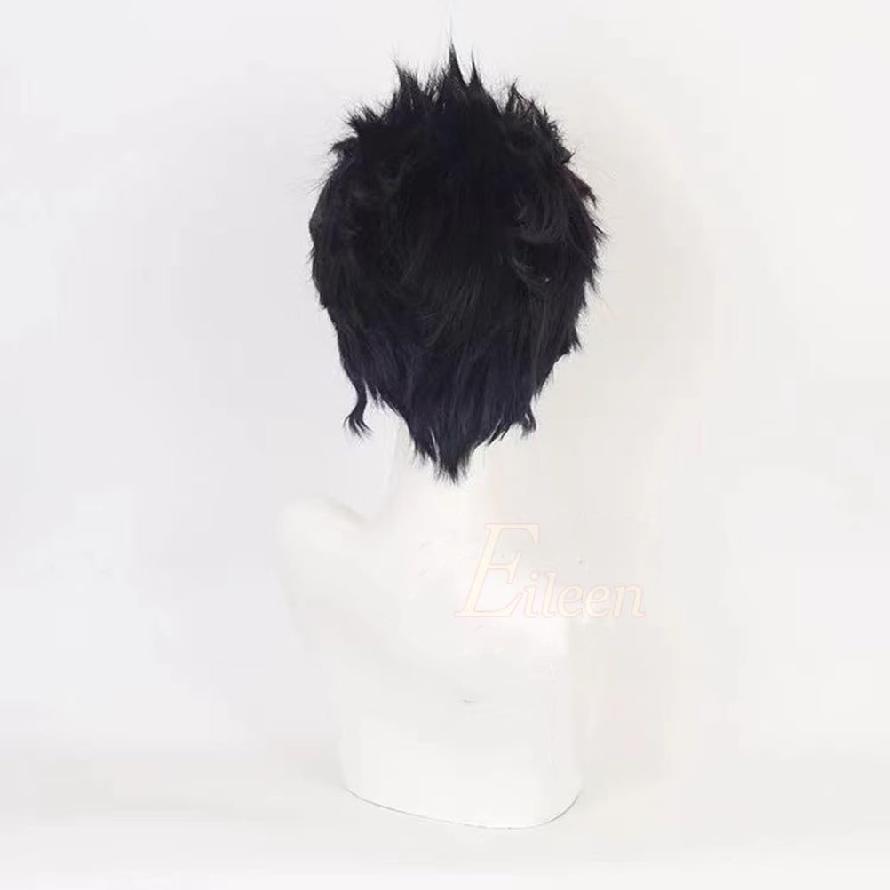 Eileen Jotaro Kujo Wig from JoJo's Bizarre Adventure, Heat-Resistant, Perfect for Halloween and Christmas Costumes, Includes Wig and Net