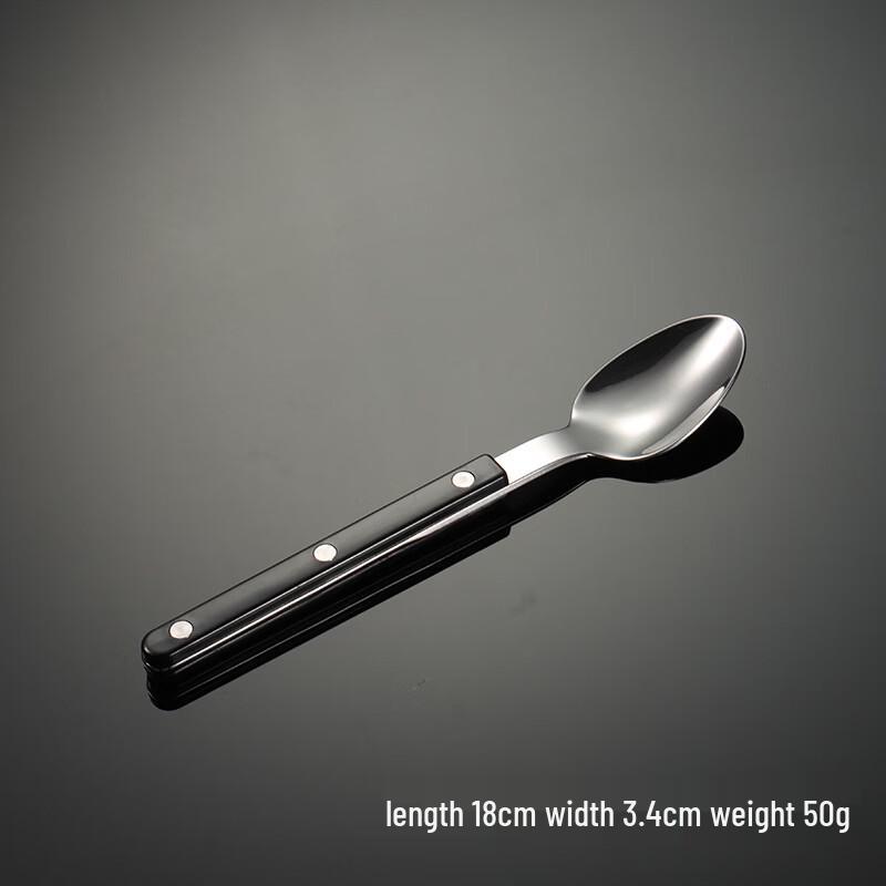 Qianxing 420 Stainless Steel ABS Handle Riveted Teaspoons