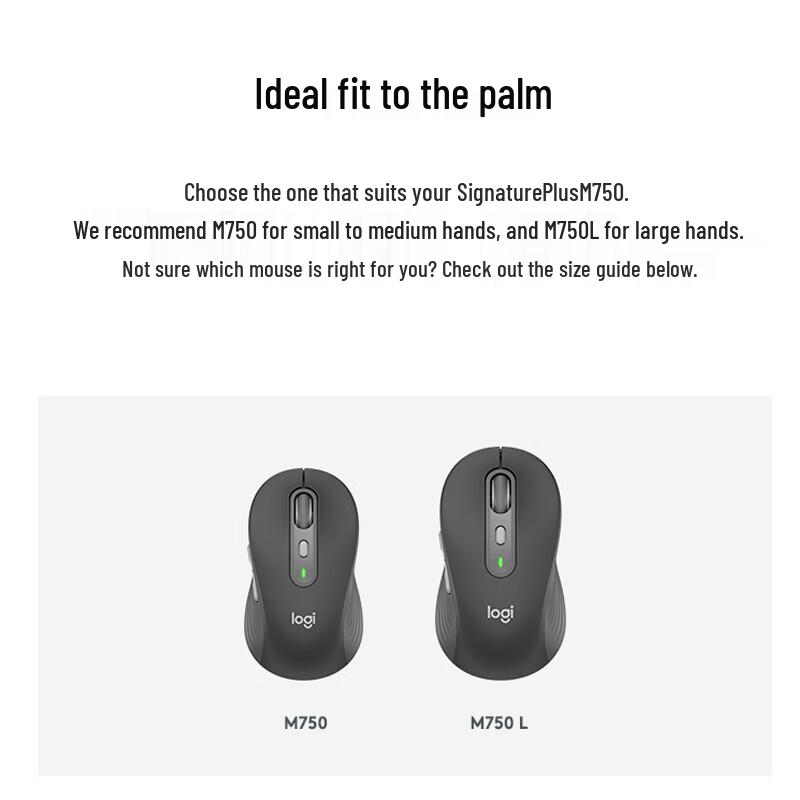 Logitech Signature M750 L Wireless Silent Mouse